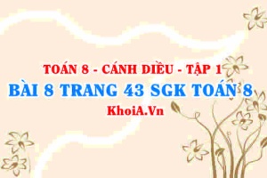 Bài 8 trang 43 SGK Toán 8 tập 1 Cánh Diều
